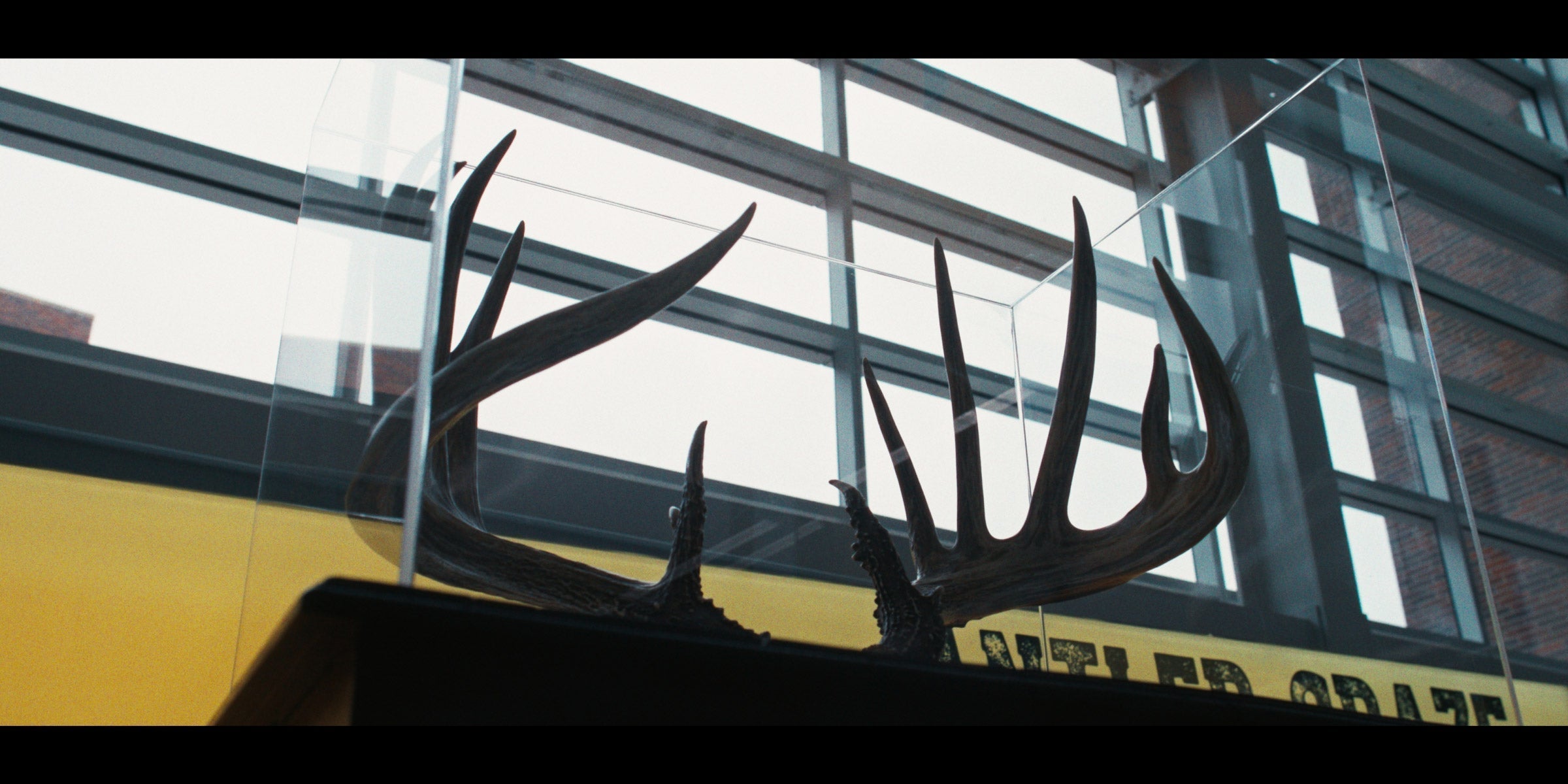 The General: Million-Dollar Antlers, Mounted on an RH2