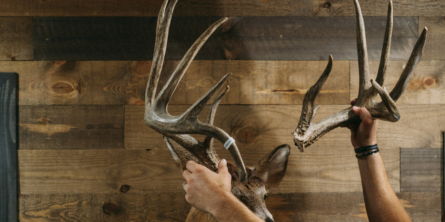 Taxidermists Hate This Mounting System (And Hunters Love It)