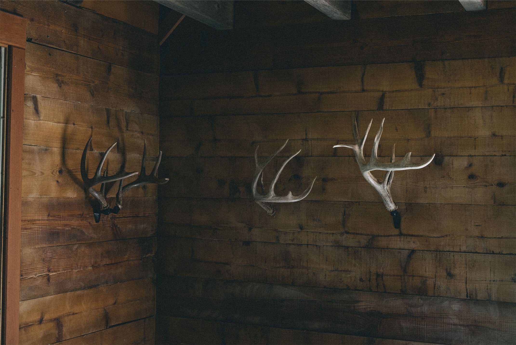 The Medium Game Collection
