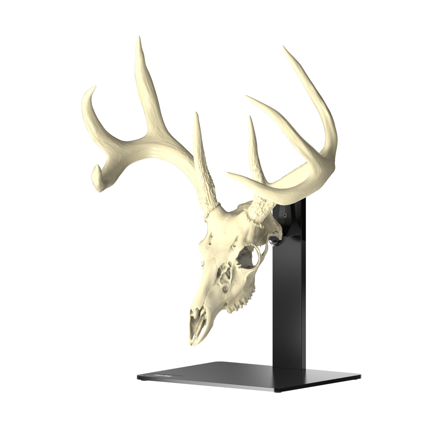 Pedestal + RHE