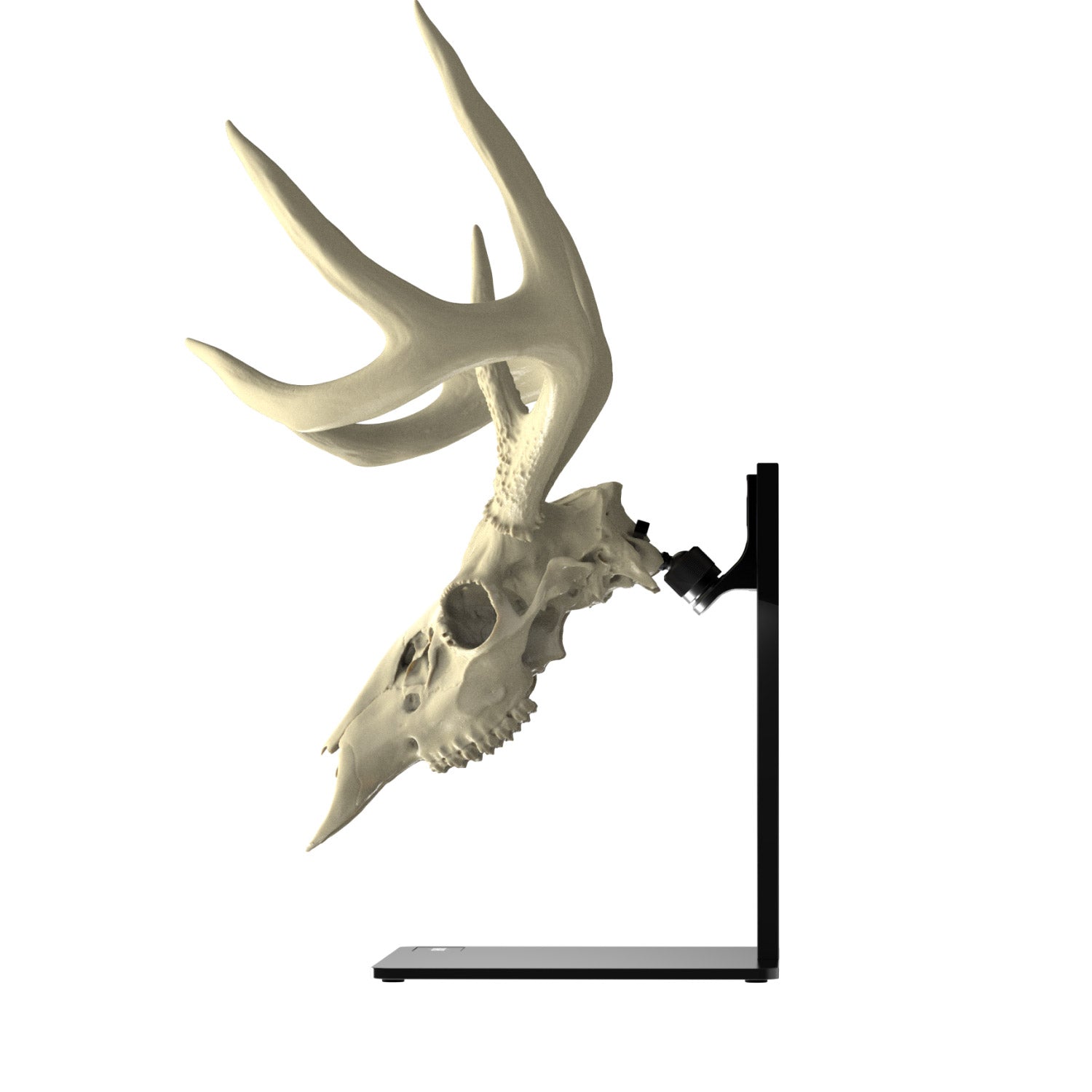 Pedestal + RHE