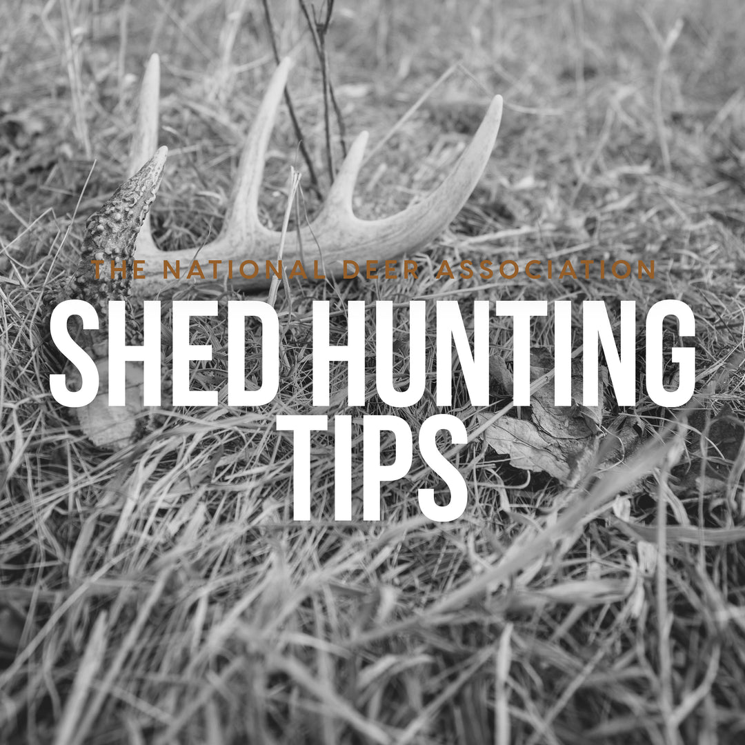 6 Shed-Hunting Tips from The National Deer Association