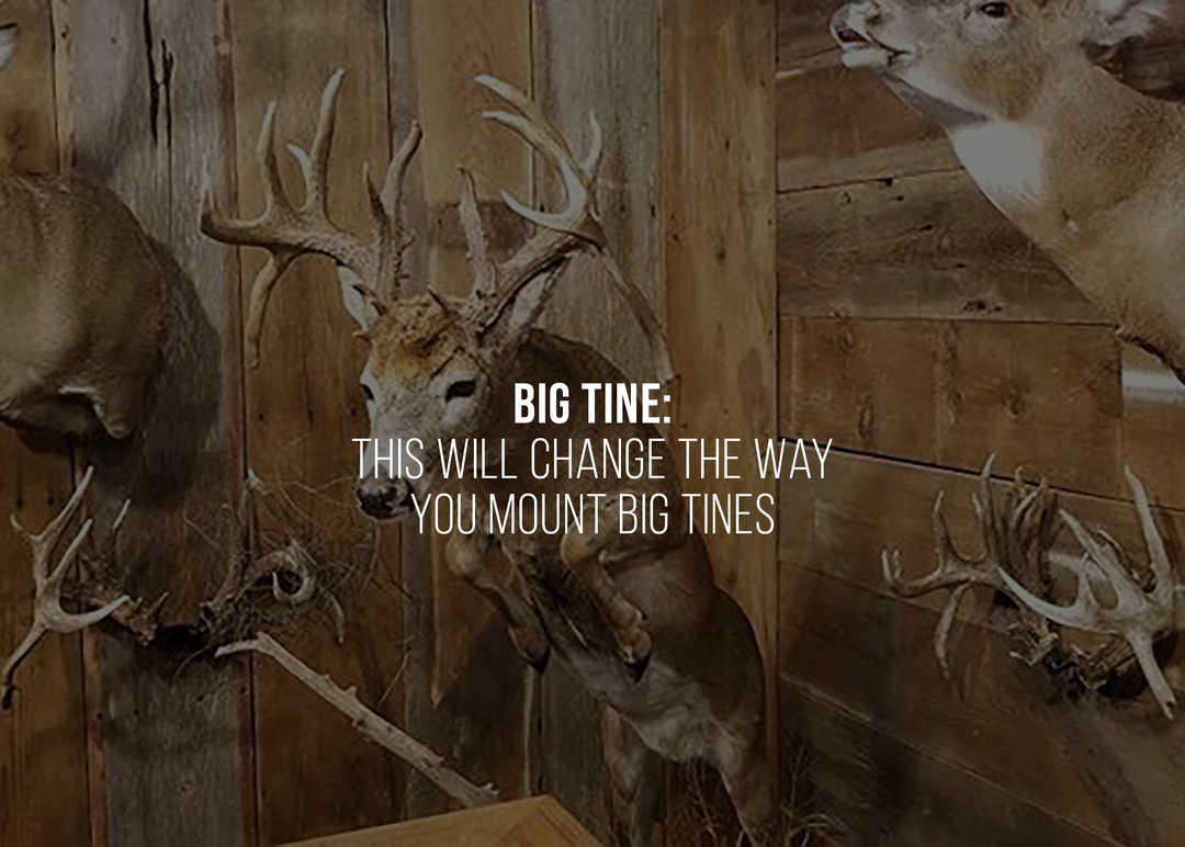 Big Tine: This Will Change The Way You Mount Big Tines