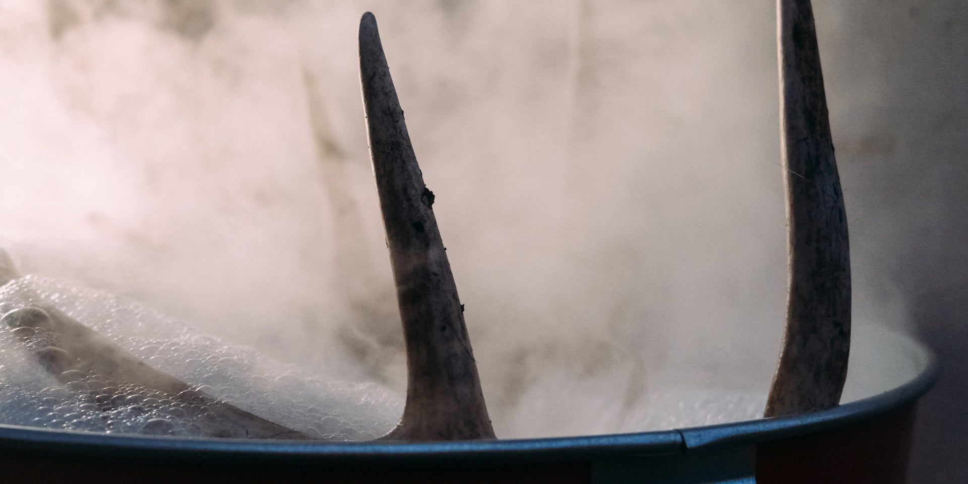 how to clean cigarette smoke from deer mounts smoke-damaged antlers? Heres a stud velvet buck