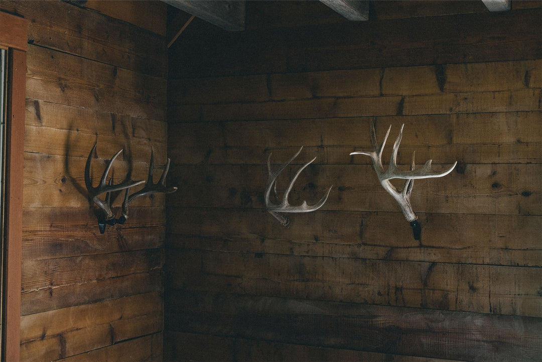 The Deer Collection