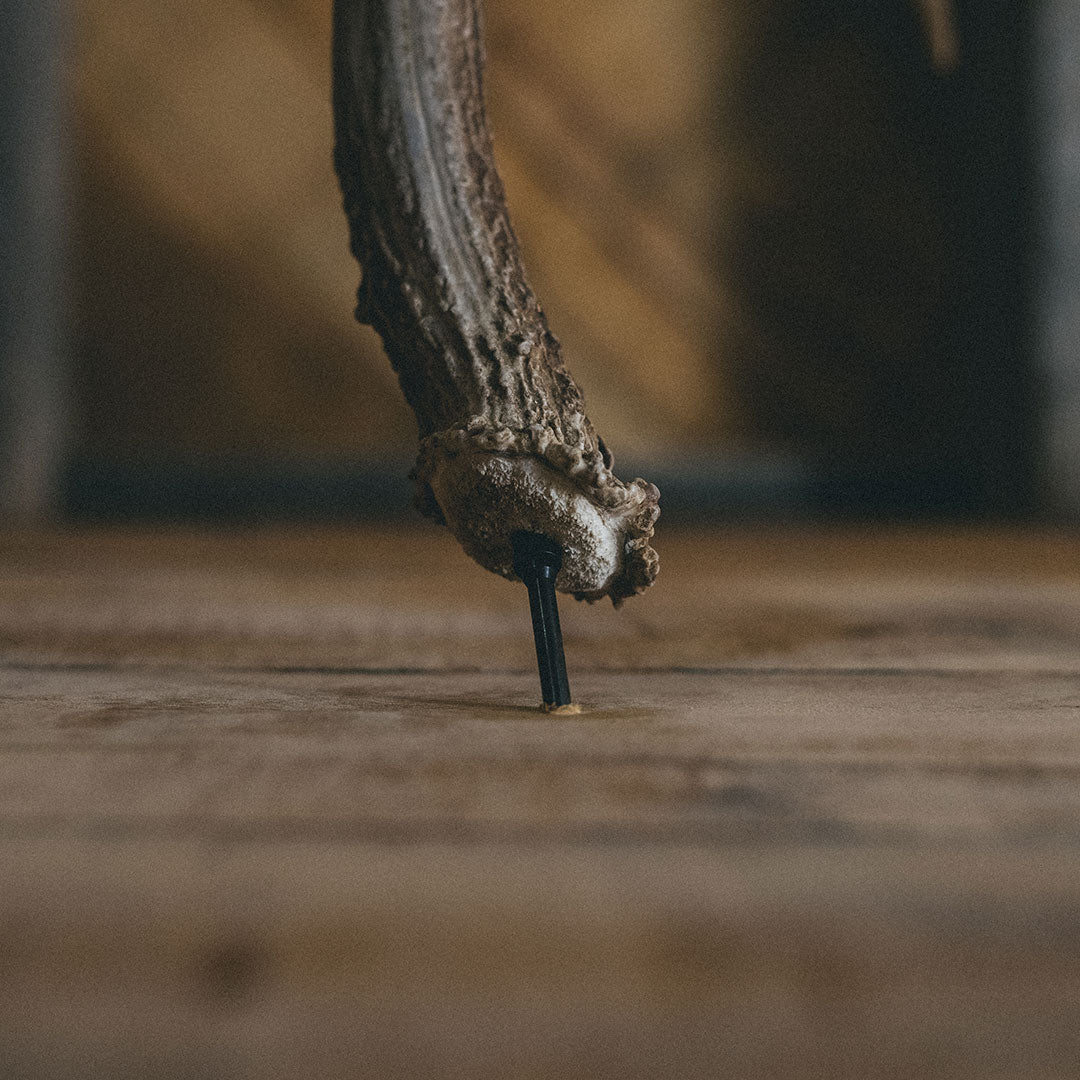 Antler Bar