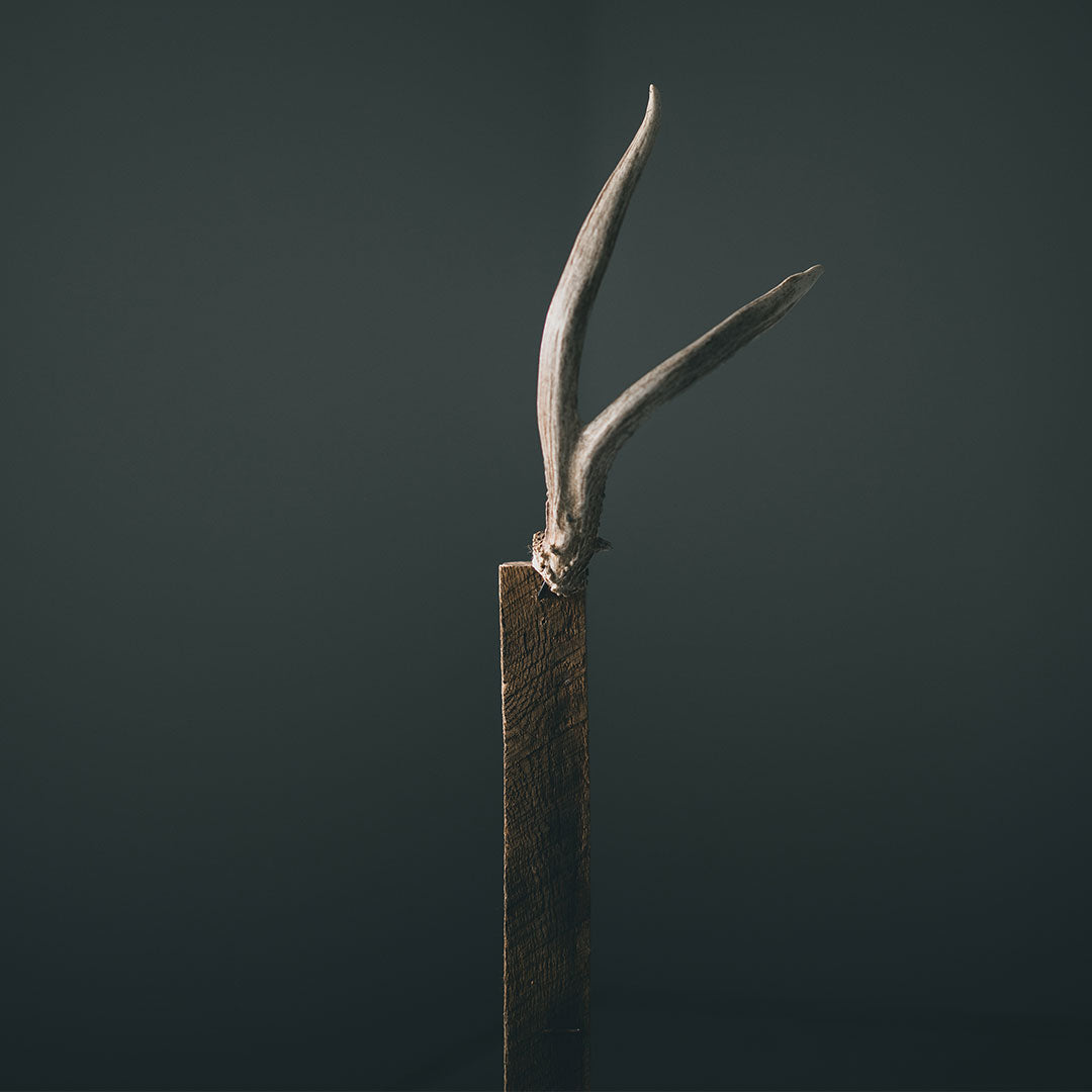Antler Bar