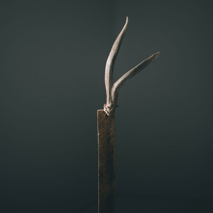 Antler Bar
