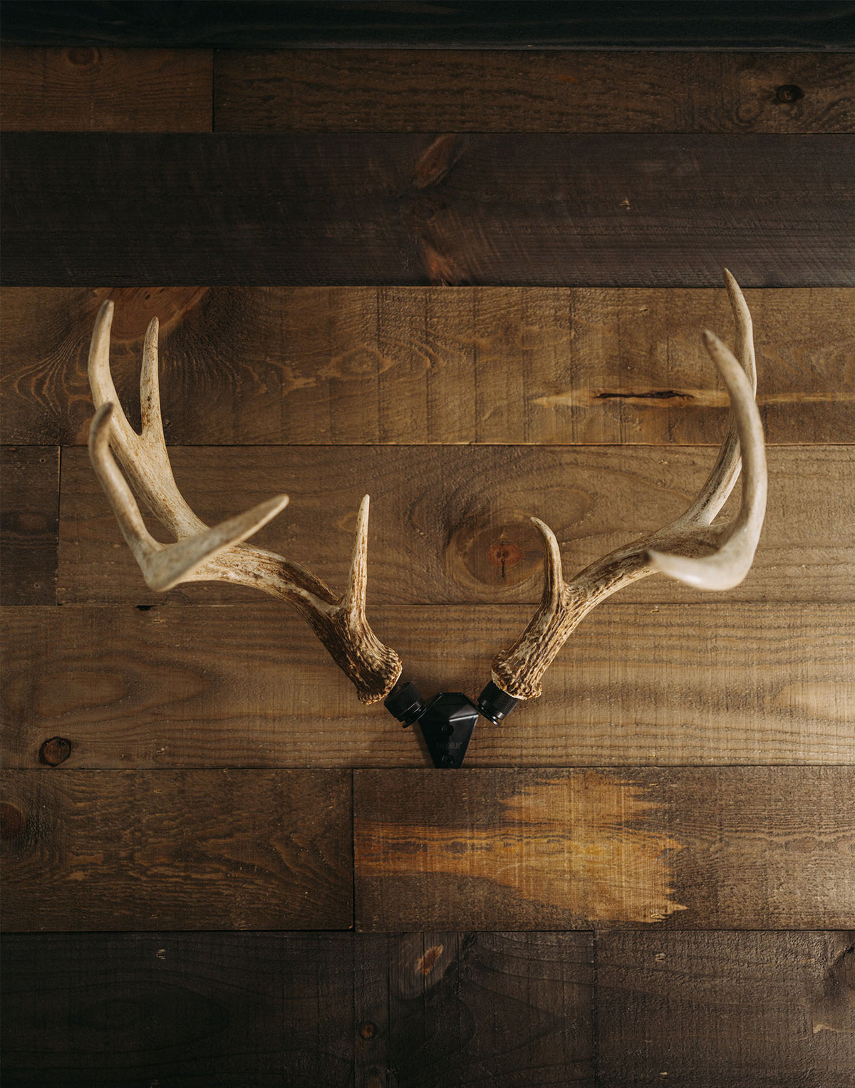 RACK HUB® Premium Antler Displays - Bring Nature Home