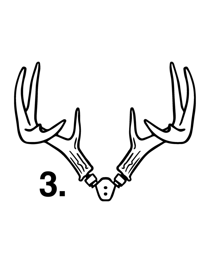 RACK HUB® Premium Antler Displays - Bring Nature Home