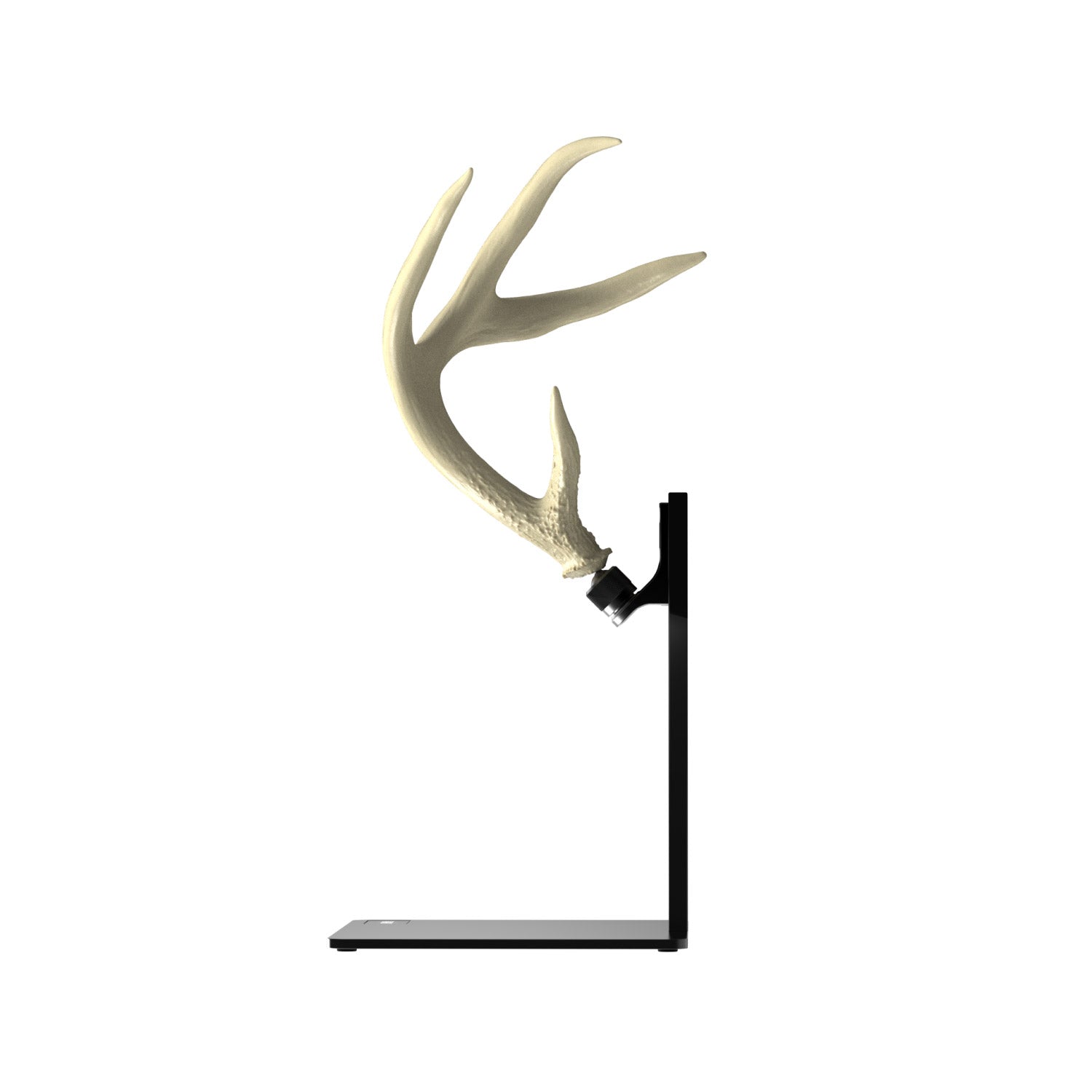 Pedestal + RH1