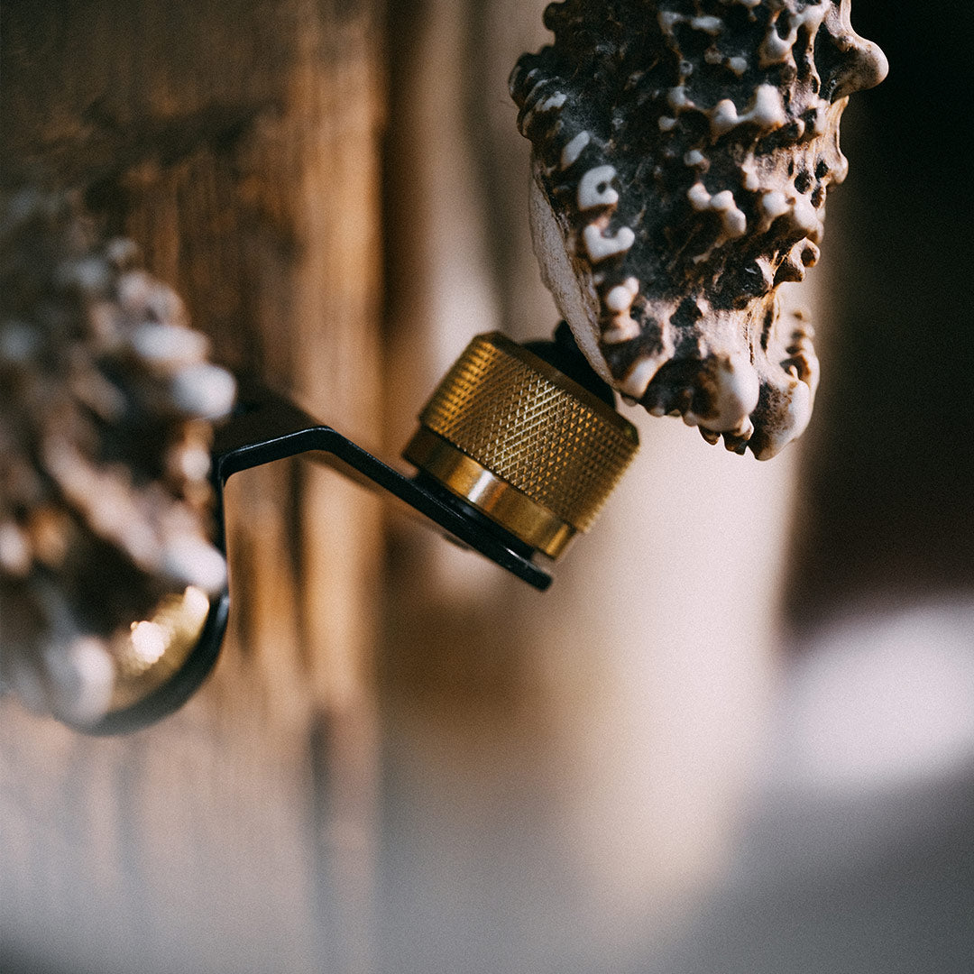 RH2 - Black + Brass