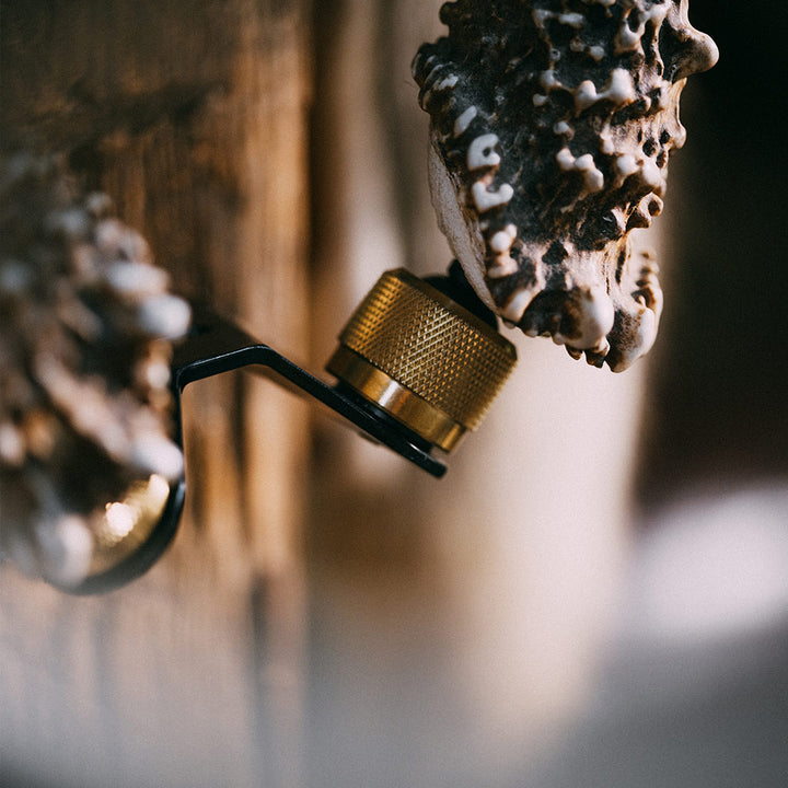 RH2 - Black + Brass