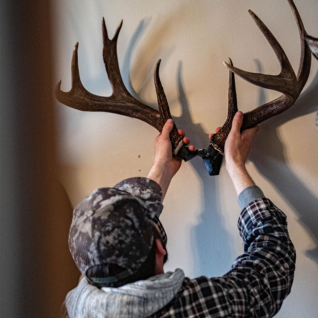 Deer cheap antler mount